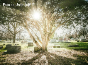 Ancora sulla morte, pensando alle vittime. Seconda parte del documento di “Creatività e speranza” 