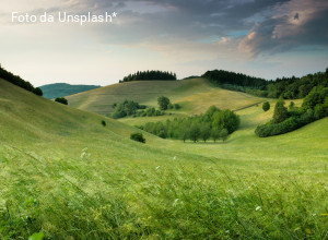“Hands Off Nature”: una petizione per fermare l’assalto alla normativa ambientale della Ue