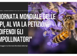 “Difendi gli impollinatori”: una petizione nella Giornata mondiale delle api