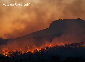 Oltre il punto di non ritorno? L'UNEP certifica la latitanza dei governi sul riscaldamento globale