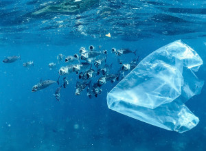 "Plastic Overshoot Day": il rapporto, l'allarme, l'appello