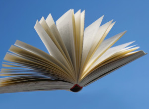 Per il verso giusto. Decalogo per una parola che non si arrende