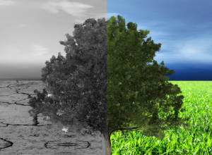 Dalla Rete dei Comuni Sostenibili nuove proposte e strumenti per la neutralità climatica